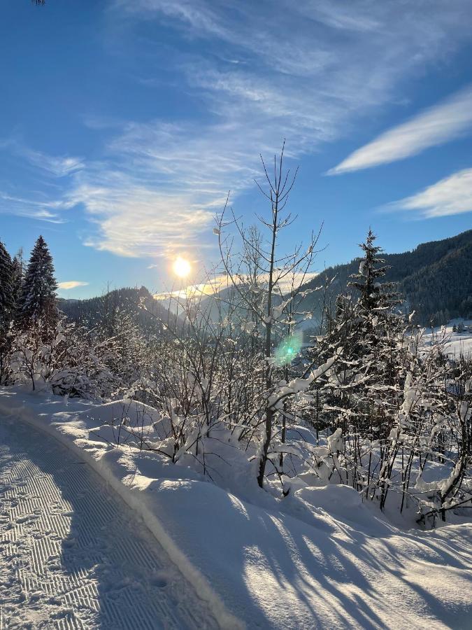 Wimmhof Daire Sankt Martin am Tennengebirge Dış mekan fotoğraf