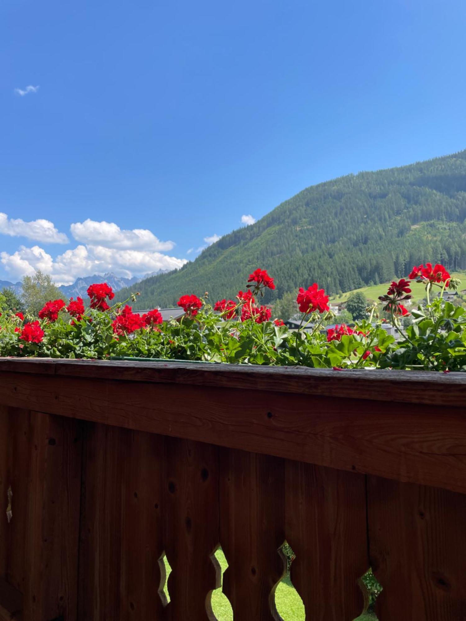 Wimmhof Daire Sankt Martin am Tennengebirge Dış mekan fotoğraf