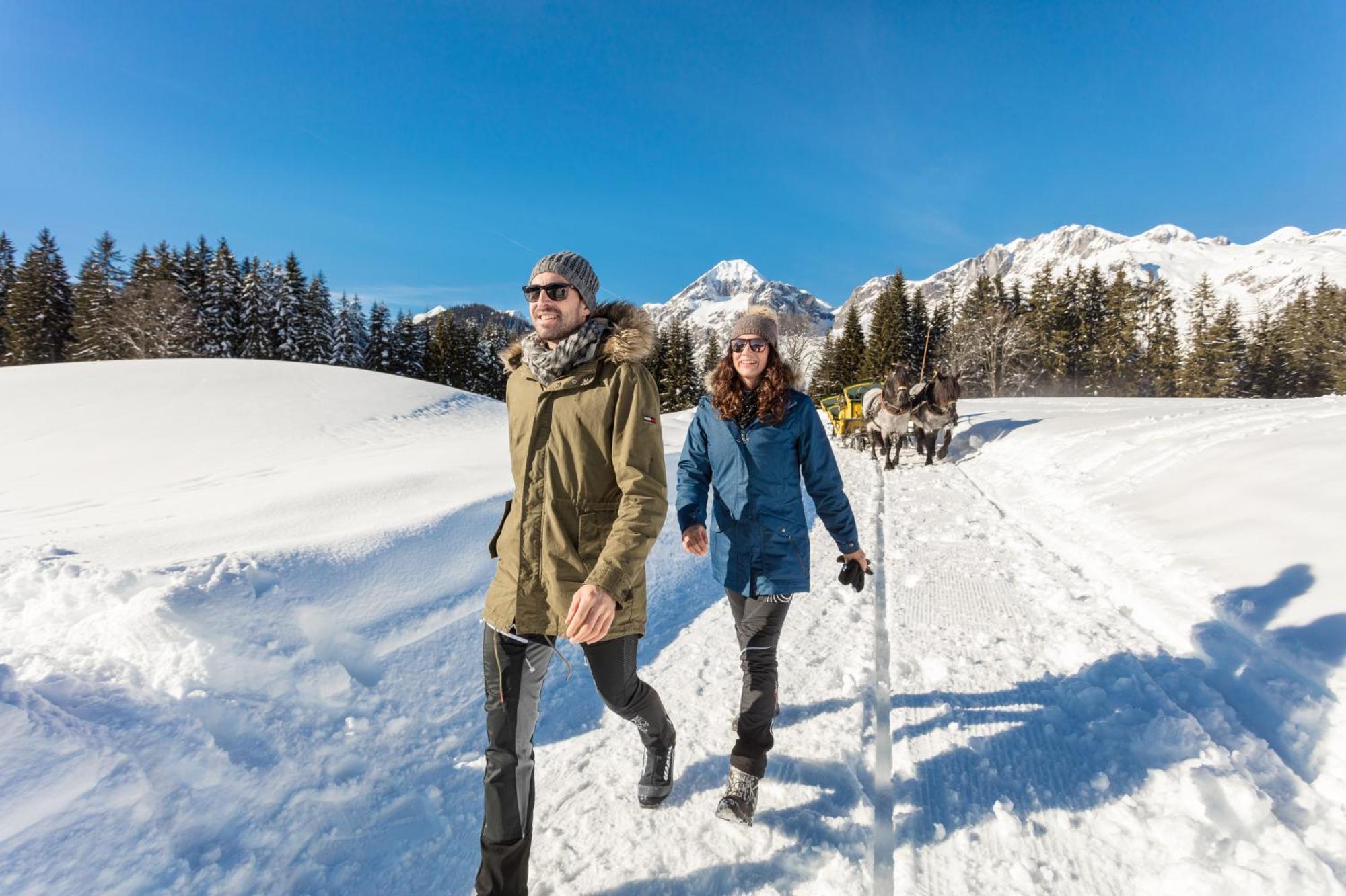 Wimmhof Daire Sankt Martin am Tennengebirge Dış mekan fotoğraf